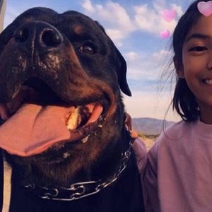 Meet your Posher, Tiffany